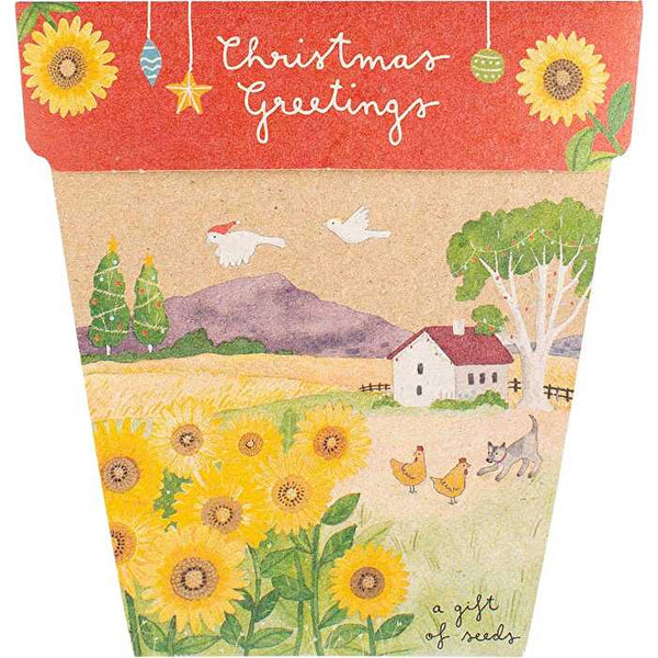 Sow 'n Sow Gift of Seeds Christmas Sunflowers