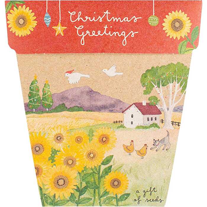 Sow 'n Sow Gift of Seeds Christmas Sunflowers