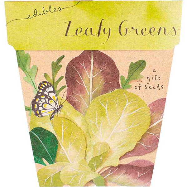 Sow 'n Sow Gift of Seeds Leafy Greens