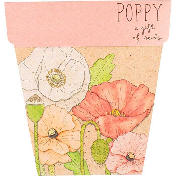 Sow 'n Sow Gift of Seeds Poppy