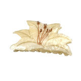 Acrylic Cartoon Sweet Hair Claw Clip – Medium