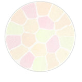 ALBION ELEGANCE La Poudre Haute Nuance Face Powder (27g)