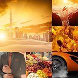 Perfumer's Choice No 9 by Victor and No 10 by Mojo Fragrance for Men Eau de Parfum Gift Set by Milton-Lloyd 2 x 50ml