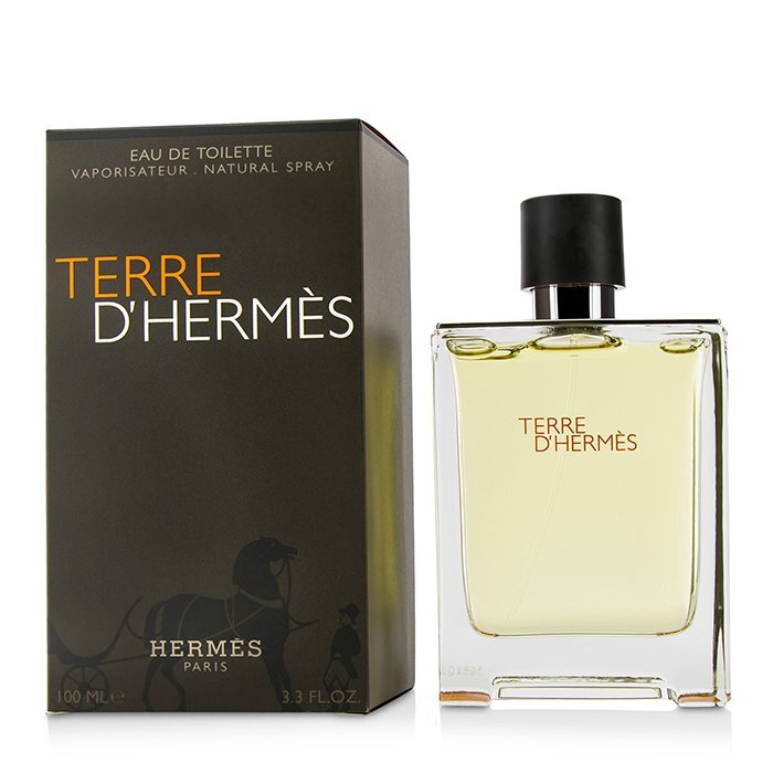 Hermes Terre D'Hermes Eau De Toilette Spray 100ml/3.4oz