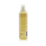 Aveda Scalp Benefits Balancing Shampoo 