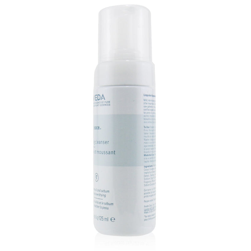 Aveda Outer Peace Foaming Cleanser 