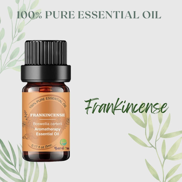 ttgarden 100% Pure Natural Aromatherapy Essential Oil 5ml - Frankincense  5ml