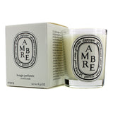 Diptyque Scented Candle - Ambre (Amber) 