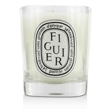 Diptyque Scented Candle - Figuier (Fig Tree) 