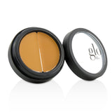 Glo Skin Beauty Under Eye Concealer - # Honey  3.1g/0.11oz