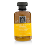 Apivita Nourish & Repair Shampoo with Olive & Honey (For Dry-Damaged Hair) 