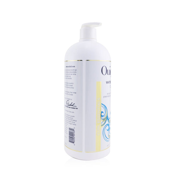 Ouidad Water Works Clarifying Shampoo (Curl Essentials) 