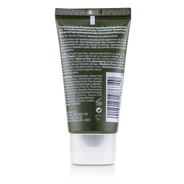 Aveda Botanical Kinetics Oil Control Lotion - For Normal to Oily Skin 