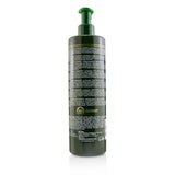 Rene Furterer 5 Sens Enhancing Shampoo - Frequent Use, All Hair Types (Salon Product) 
