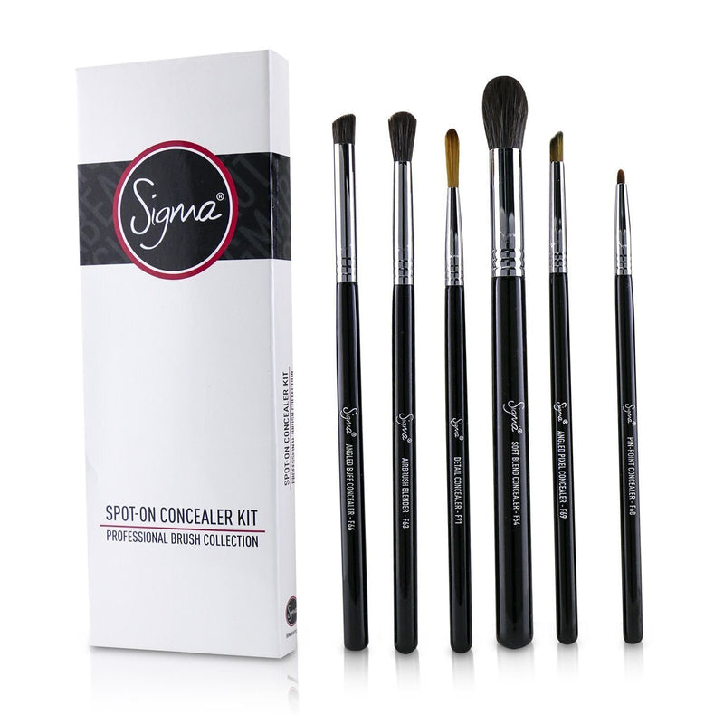 Sigma Beauty Spot On Concealer Kit Professional Brush Collection 