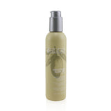 ABBA Smoothing Blow Dry Lotion 