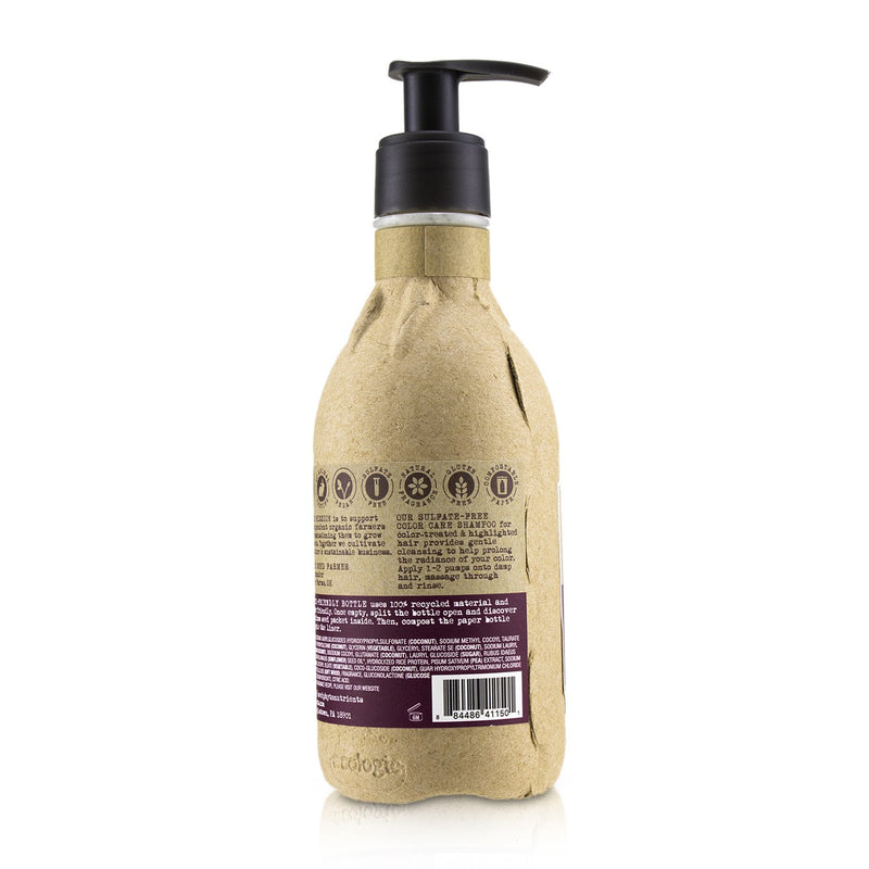 Seed Phytonutrients Color Care Shampoo (For Color-Treated Hair) 