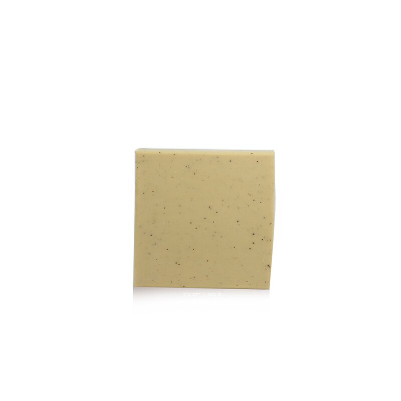 Seed Phytonutrients Exfoliating Soap (For All Skin Types) 