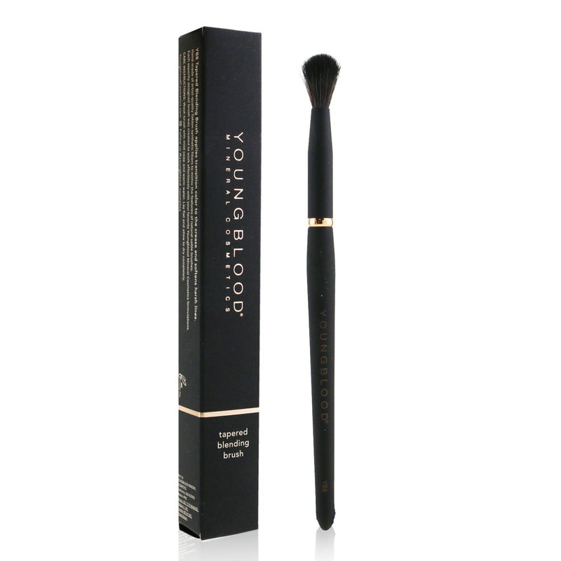 Youngblood YB8 Tapered Blending Brush 