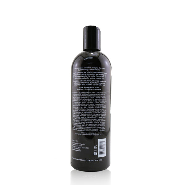 John Masters Organics Scalp Stimulating Shampoo with Spearmint & Meadowsweet 