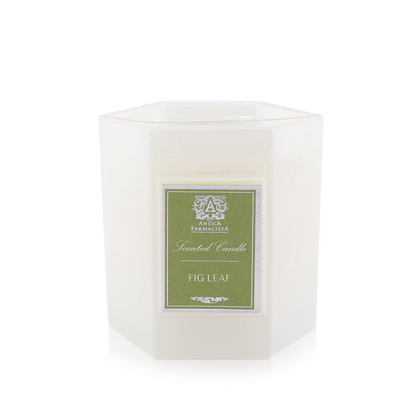 Antica Farmacista Candle - Fig Leaf 