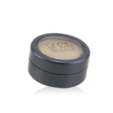 Cinema Secrets Ultimate Corrector Singles - # 601(18) Light Red Neutralizer 