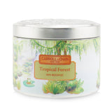 The Candle Company (Carroll & Chan) 100% Beeswax Tin Candle - Tropical Forest 