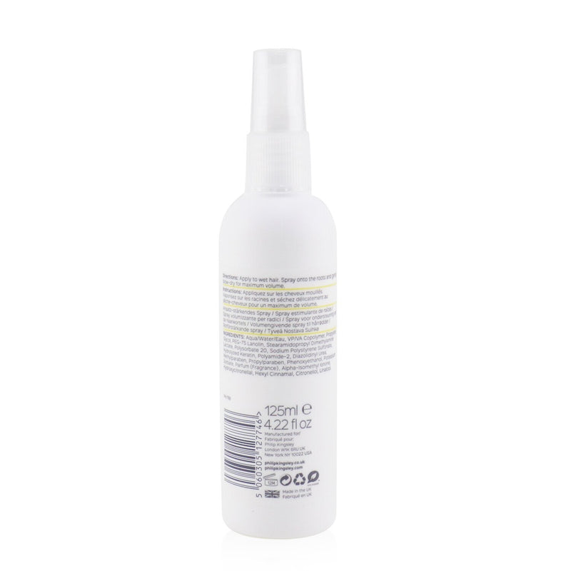 Philip Kingsley Maximizer Root Boosting Spray (Volumises and Lifts Fine Hair) 