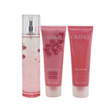 Caudalie Rose De Vigne Christmas Coffret: Fresh Fragrance Spray 50ml + Shower Gel 50ml + Body Lotion 50ml (Pink Line) 