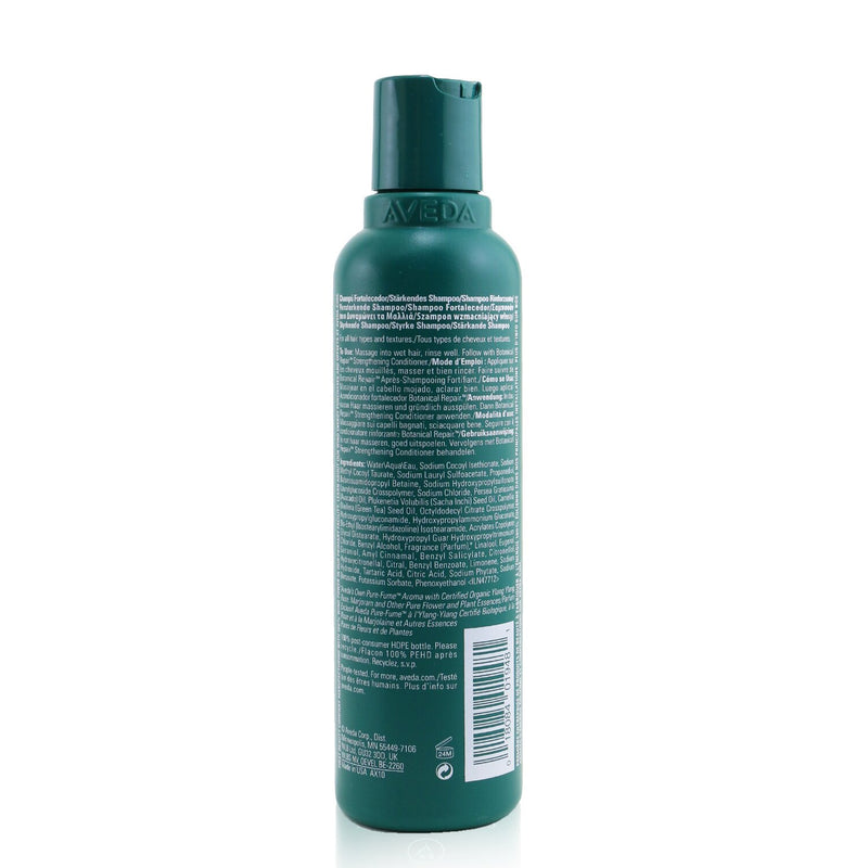 Aveda Botanical Repair Strengthening Shampoo 