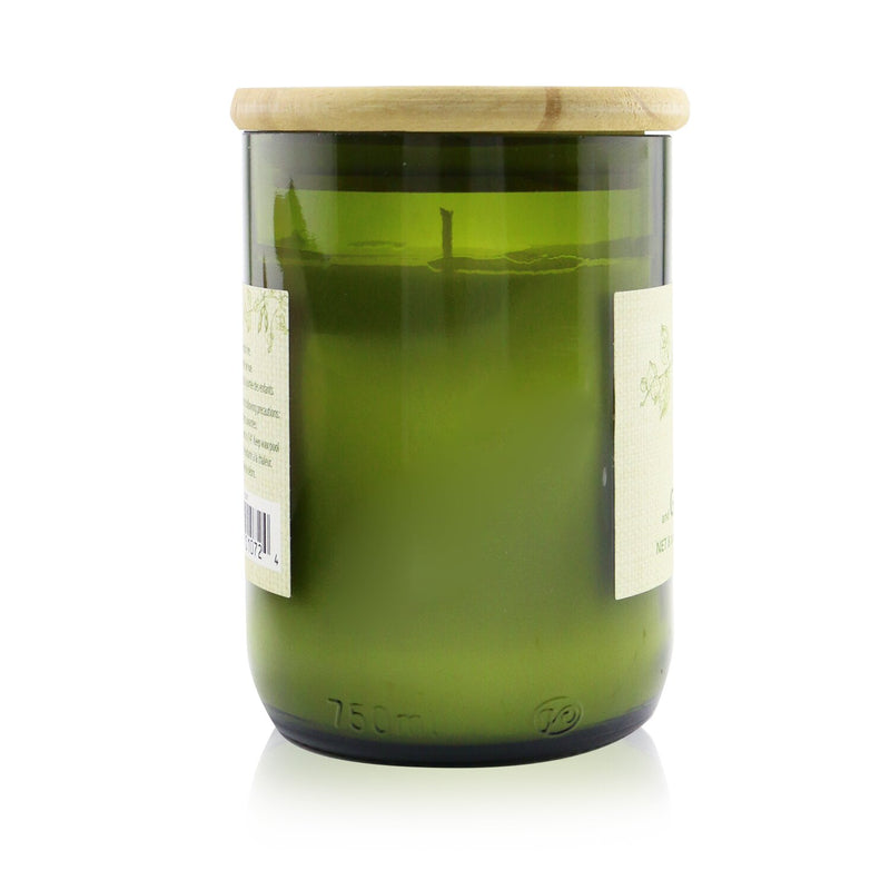 Paddywax Eco Candle - Bamboo & Green Tea  226g/8oz