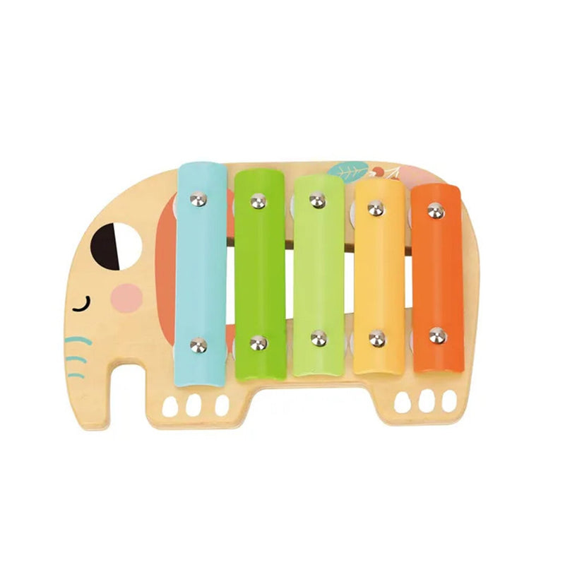 Tooky Toy Co Music Instrument Set  37x29x6cm