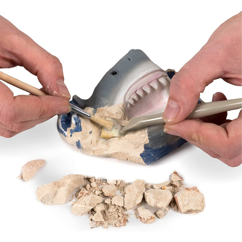 National Geographic National Geographic Shark Tooth Dig Kit  18 x 6 x 25cm
