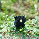 Urdu URDU FUWAFUWA PART 2-BEAR (BOX OF 5)  11 x 9 x 12.5cm