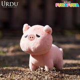 Urdu URDU FUWAFUAWA ??5 ?? (??5?)  11 x 9 x 12.5cm