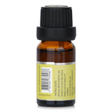 Carroll & Chan Fragrance Oil - # Vanilla Orchid  10ml/0.3oz