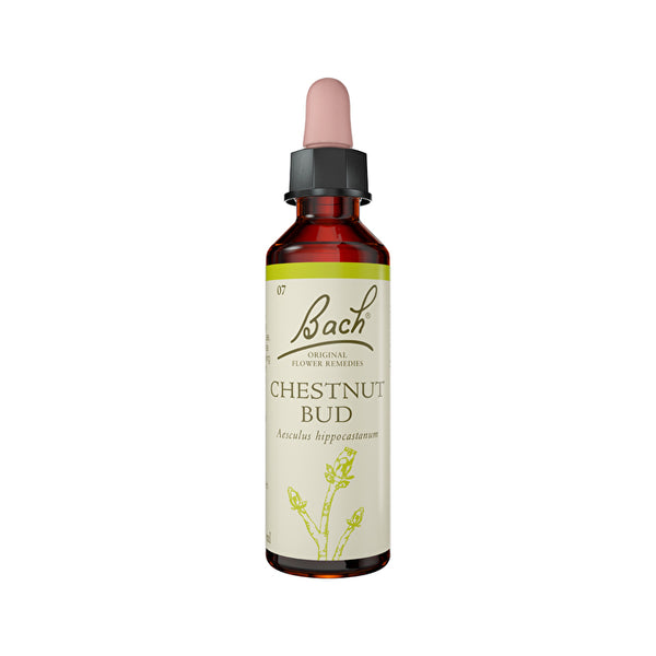Juno Labs Bach Flower Remedies Bach Flower Remedies Chestnut Bud 20ml