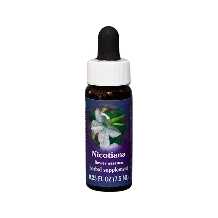 Fes Flower Essences FES Quintessentials Nicotiana 7.5ml