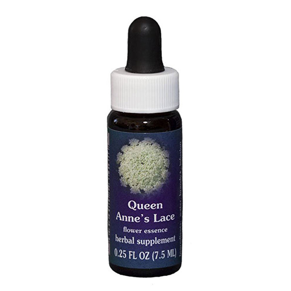 Fes Flower Essences FES Quintessentials Queen Anne's Lace 7.5ml