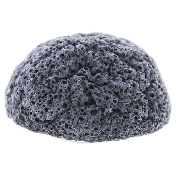 Erborian Charcoal Konjac Sponge by Erborian for Women - 3.5 oz Sponge