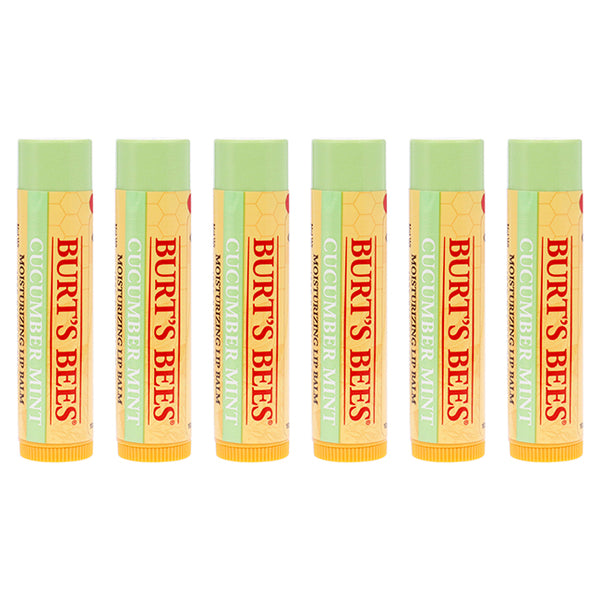 Burt's Bees Cucumber Mint Moisturizing Lip Balm by Burts Bees for Women - 0.15 oz Lip Balm - Pack of 6