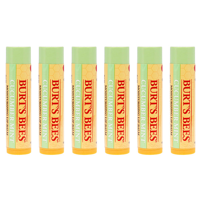 Burt's Bees Cucumber Mint Moisturizing Lip Balm by Burts Bees for Women - 0.15 oz Lip Balm - Pack of 6