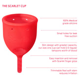 Scarlet Period Cup Regular