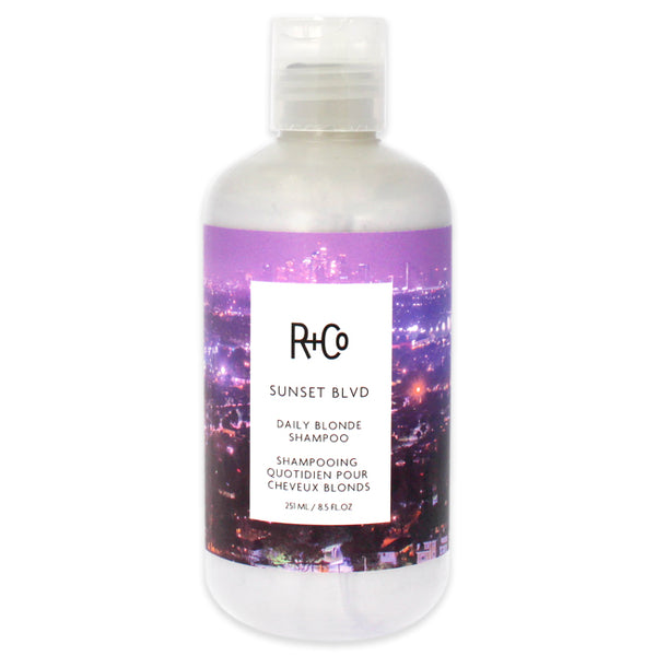 R+Co Sunset Blvd Blonde Shampoo by R+Co for Unisex - 8.5 oz Shampoo